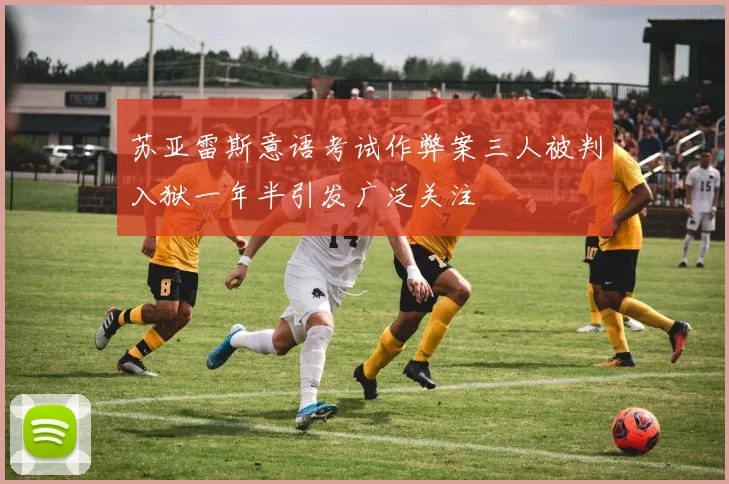 苏亚雷斯意语考试作弊案三人被判入狱一年半引发广泛关注
